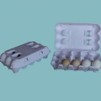 خط تولید شانه تخم مرغ و ظروف مقوایی