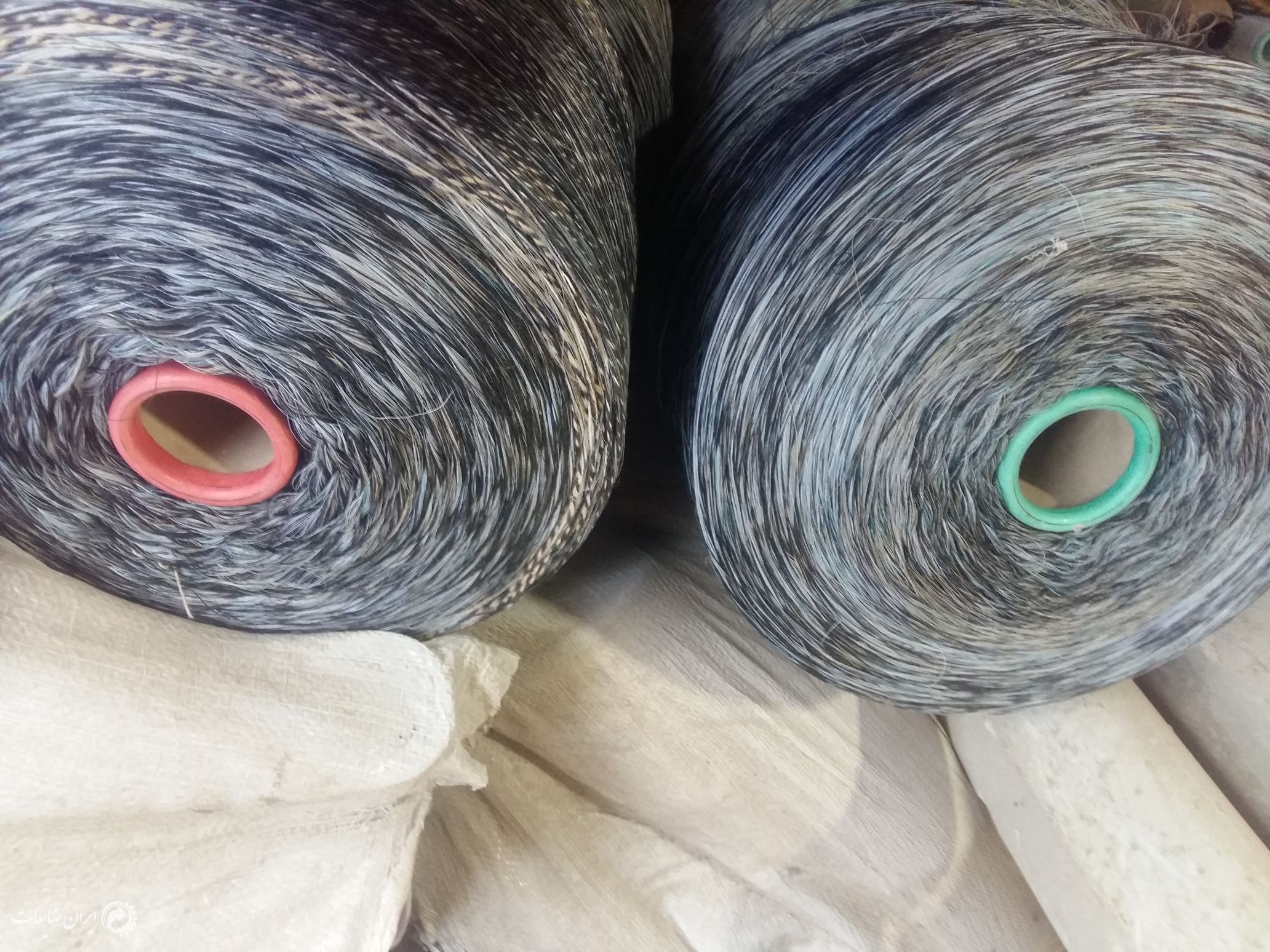 فروش الیاف ونخ