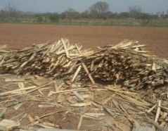 فروش ضایعات چوب پالت سازی