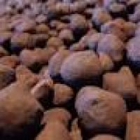 فروش گندله آهن و آهن اسفنجی