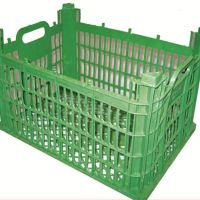 خرید سبد میوه هر کیلو تومان1000