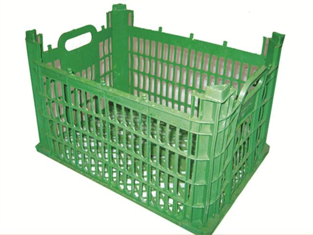 خرید سبد میوه هر کیلو تومان1000
