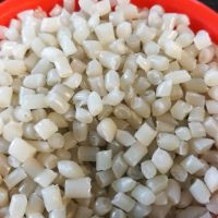 گرانول بادی