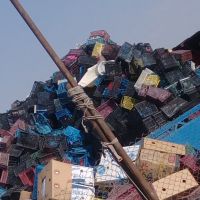 خریدار زنده و اسیابی سبد
