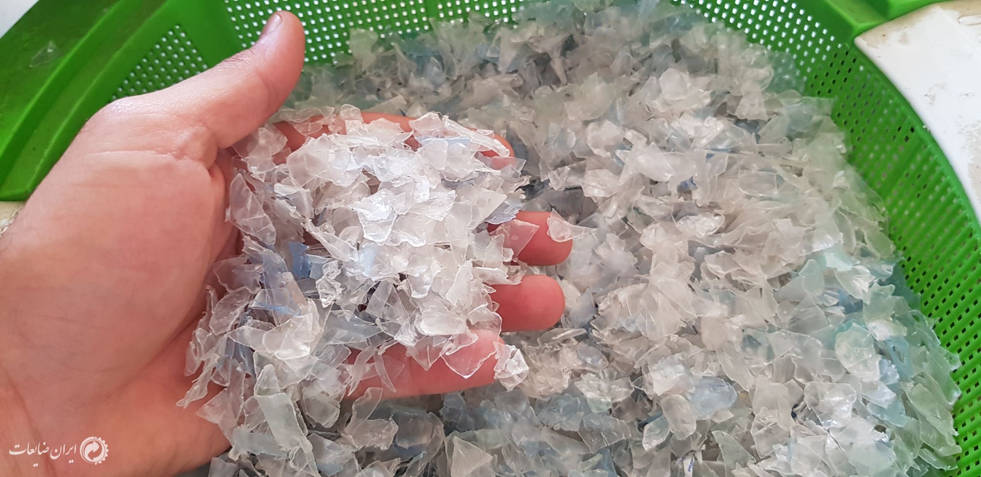 فروش پت آسیابی زیره 500 ppm