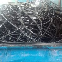 ضایعات داکتیل