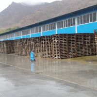 پالت چوبی روسی