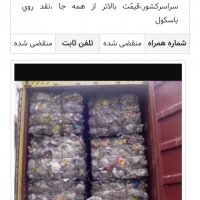 خريد پت از سراسر كشور