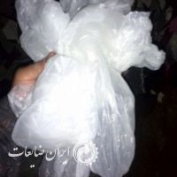 نابلون پرس شده