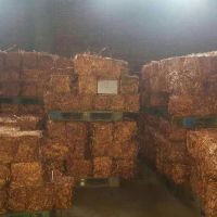 فروش مس با خلوص بالا