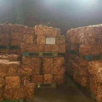 فروش ماهیانه3000تن مس