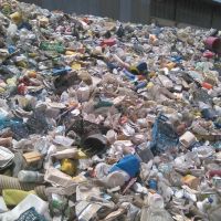 فروش لاک زنده - بادی در هم سفید رنگی