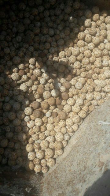 ساچمه سند بلاست یکبار مصرف شده