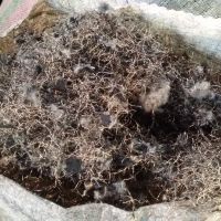فروش سیم لاستیک