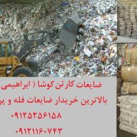 ضایعات کارتن کوشا (ابراهیمی)