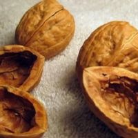 فروش پوست چوبی گردو