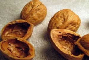 فروش پوست چوبی گردو