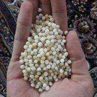 مواد آنتی بلک درجہ 1