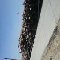 تیر برق چوبی