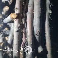 ضایعات چوب گردو و...