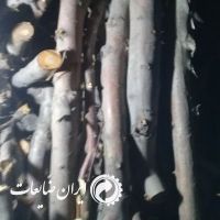 ضایعات چوب درخت گردو