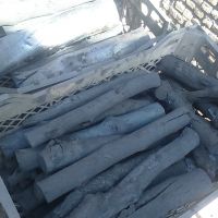 خرید چوب چنار (شاخه)