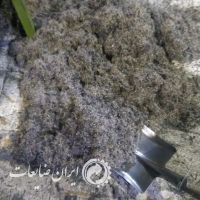 سیم لاستیک نسوخته
