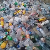 فروش پت پرسی