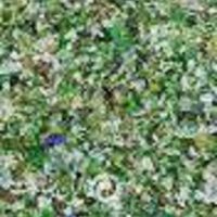 خرید ضایعات شیشه