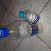 خریدارپت زنده شما هستیم