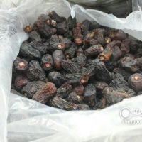 خریدار ضایعات خرما