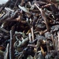 خرید بطری پت پرسی