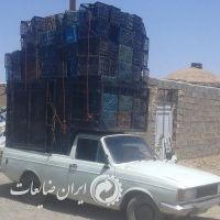 فروش سبد میوه