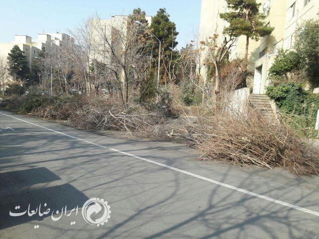 فروش ضایعات چوب رایگان