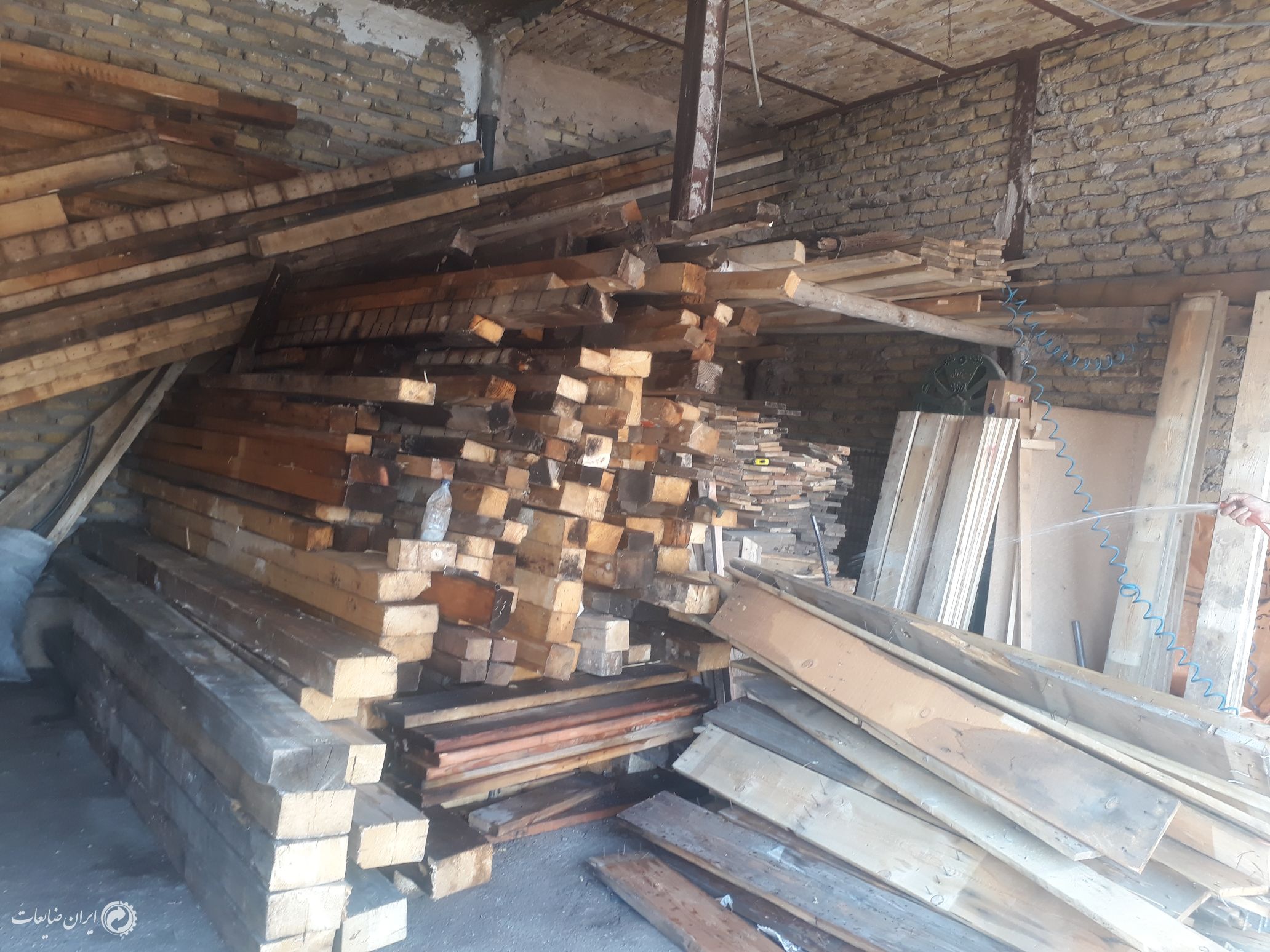 فروش چوب روسی