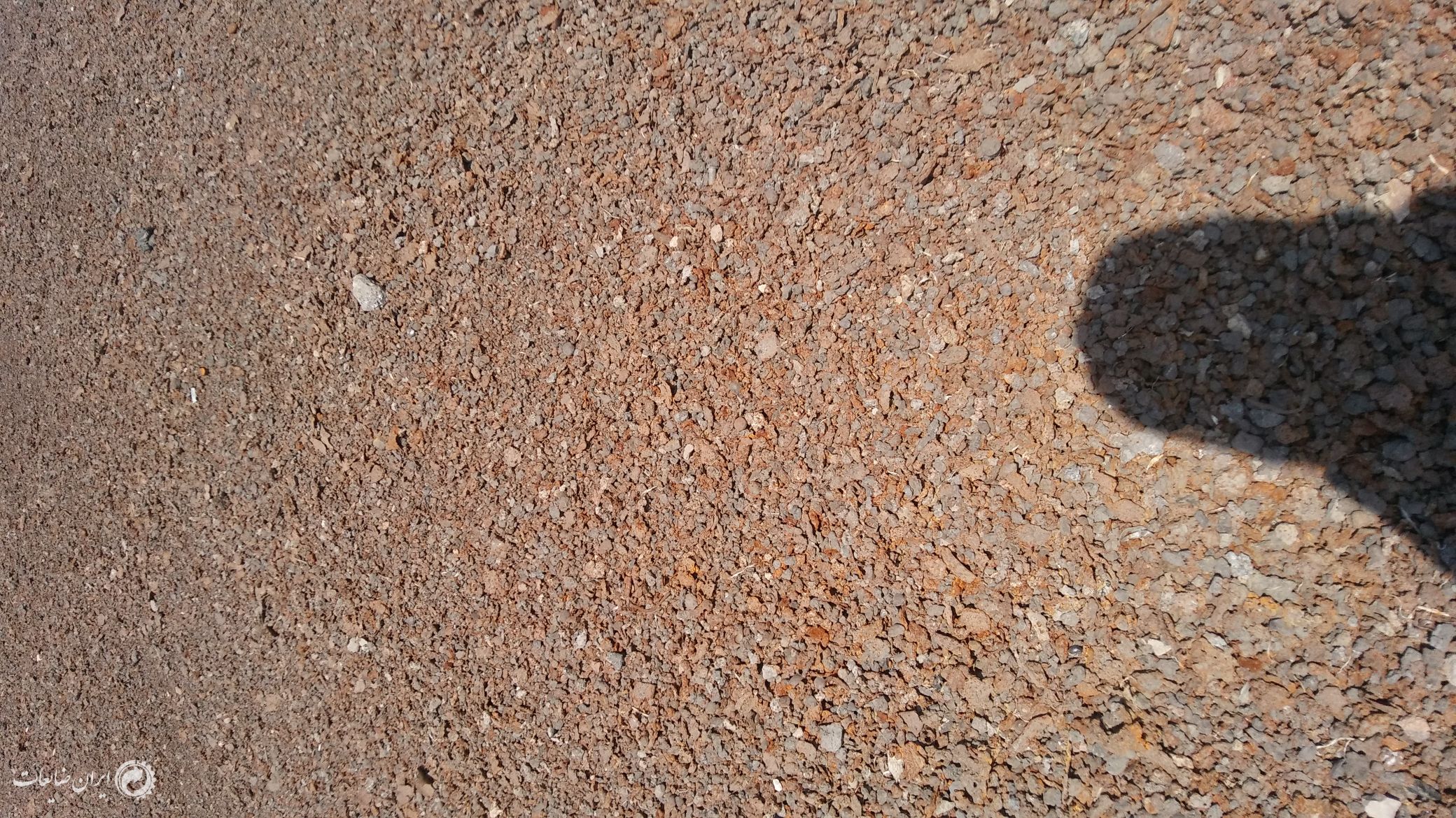 فروش نرمه شلاکه