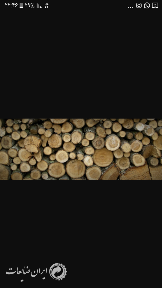 فروش چوب درخت در تناژ بالا