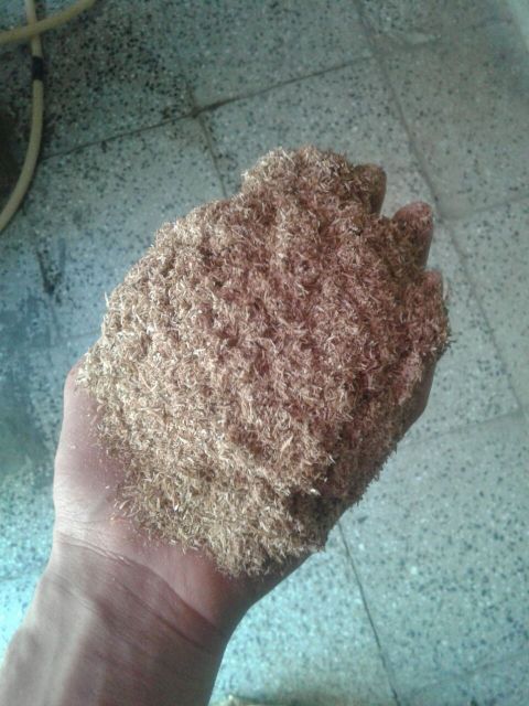 خاک اره خشک و مرغوب انواع چوب ها