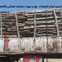 فروش بیش از 500تن ضایعات چوب زغالی-نوپان