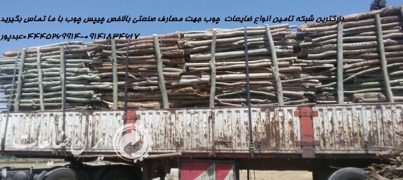 فروش بیش از 500تن ضایعات چوب زغالی-نوپان