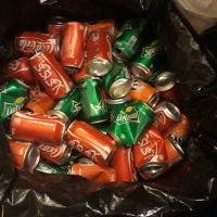 خرید قوطی رانی