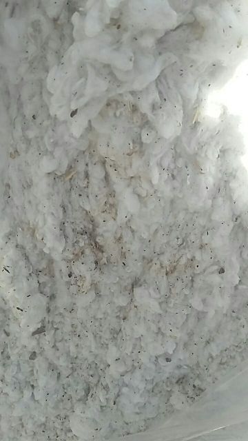 منسوجات نساجی