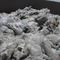 فروش مشما سفید و رنگی
