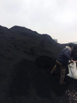 خاک زغال چوب