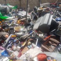 فروش هایمپک زنده