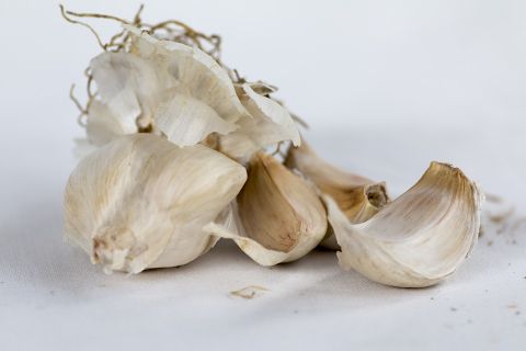 فروش ضایعات سیر خشک