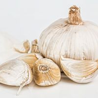 فروش ضایعات سیر خشک