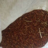 خریدار بذر جارو (تخم جارو )