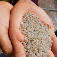 فروش مواد گرانولی