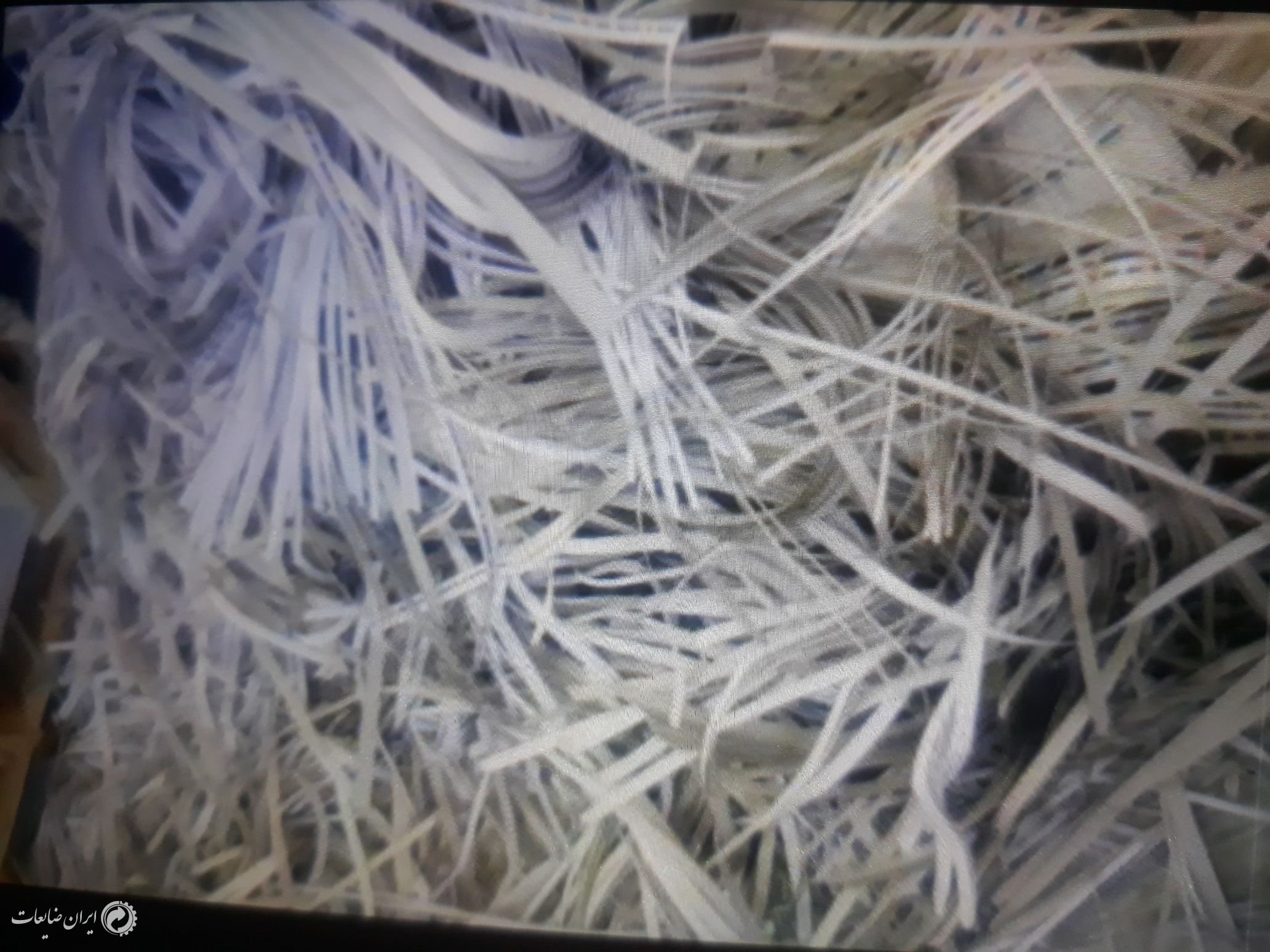 ضایعات کاغذ کارتون